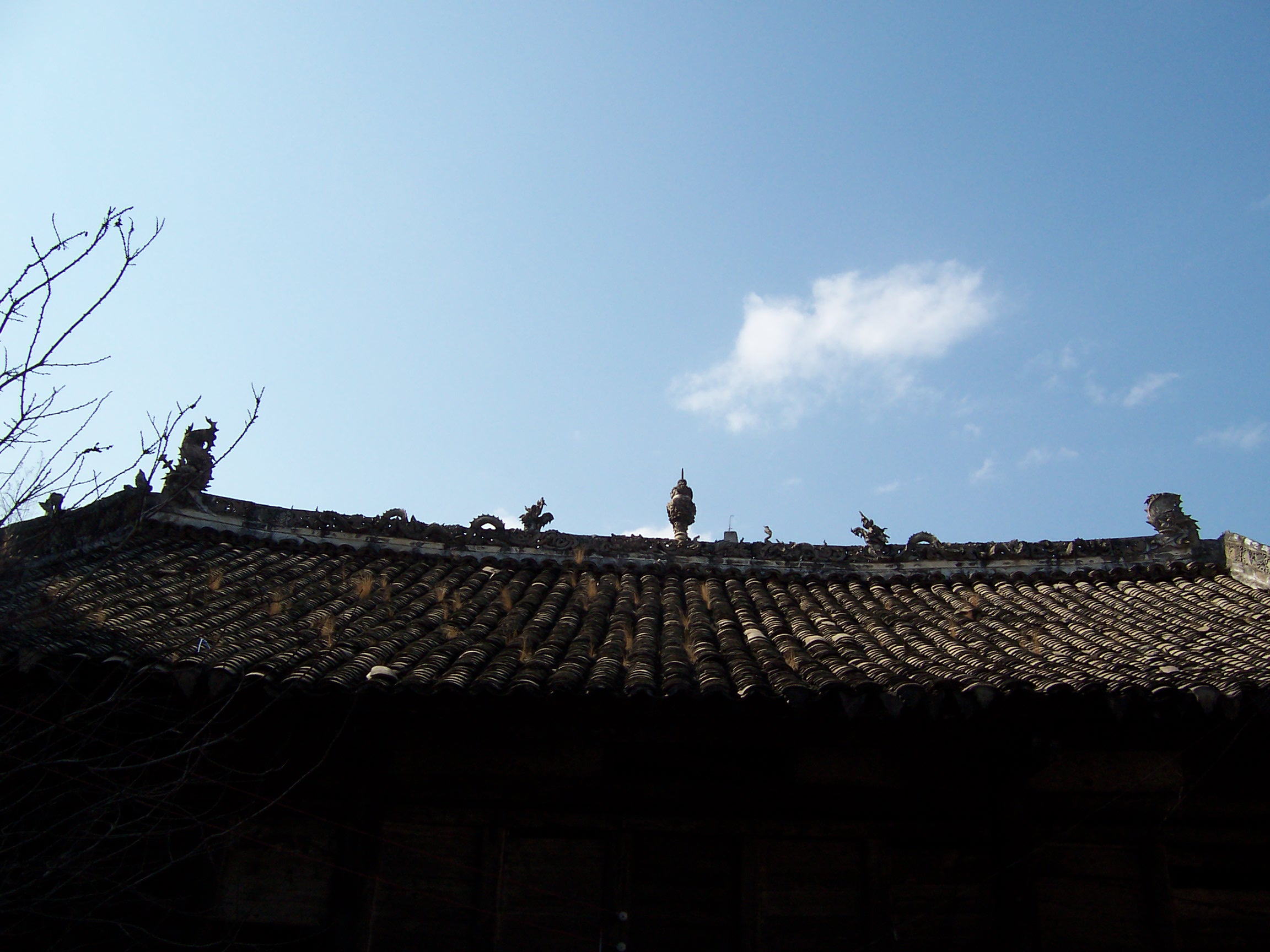 Ƭ 083.jpg