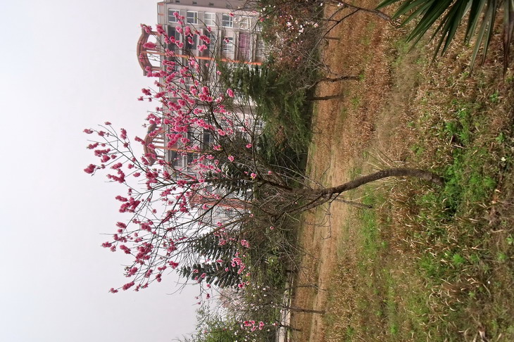 DSCF2572_СС.jpg