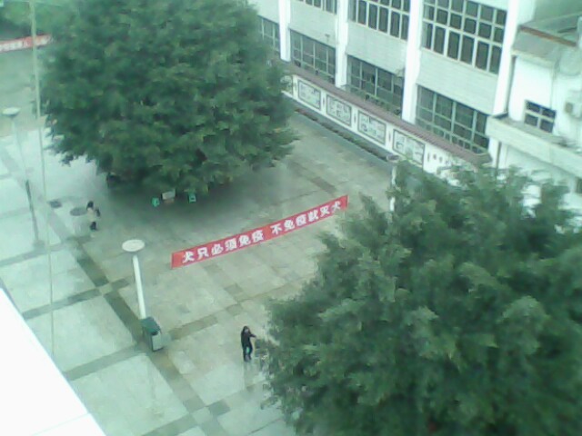 IMG0360A.jpg