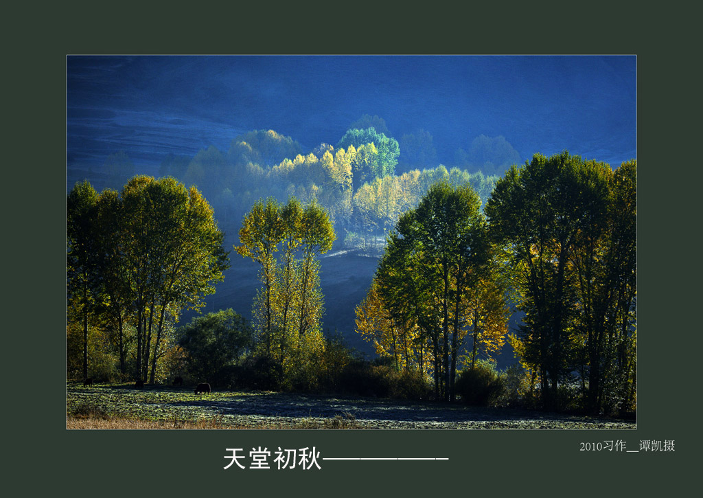 _MG_4802.jpg