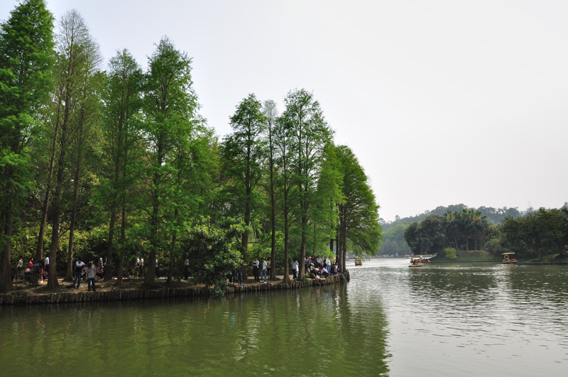 DSC_0113.jpg