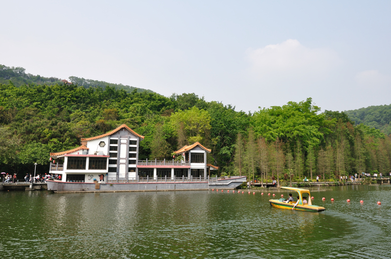 DSC_0116.jpg