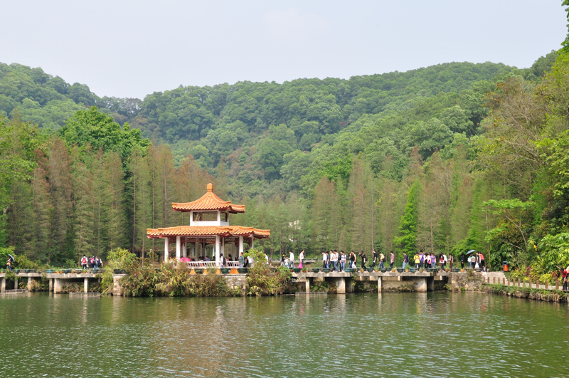 DSC_0121.jpg