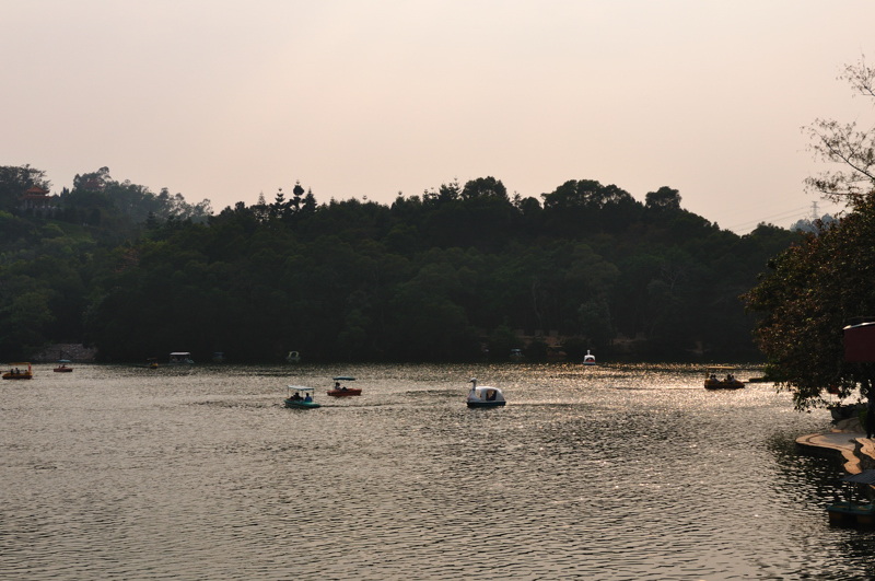 DSC_0139.jpg