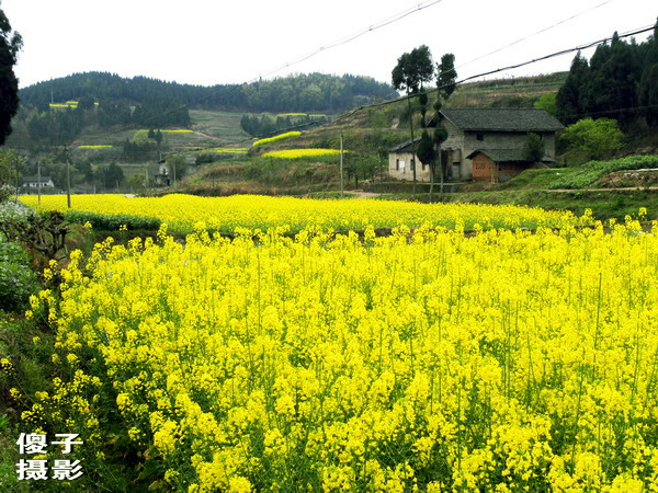DSCN0791.jpg