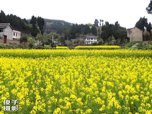DSCN0810.jpg