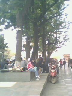 IMG0484A.jpg
