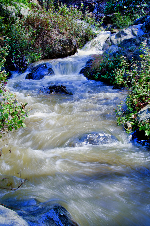 DSC_25.jpg