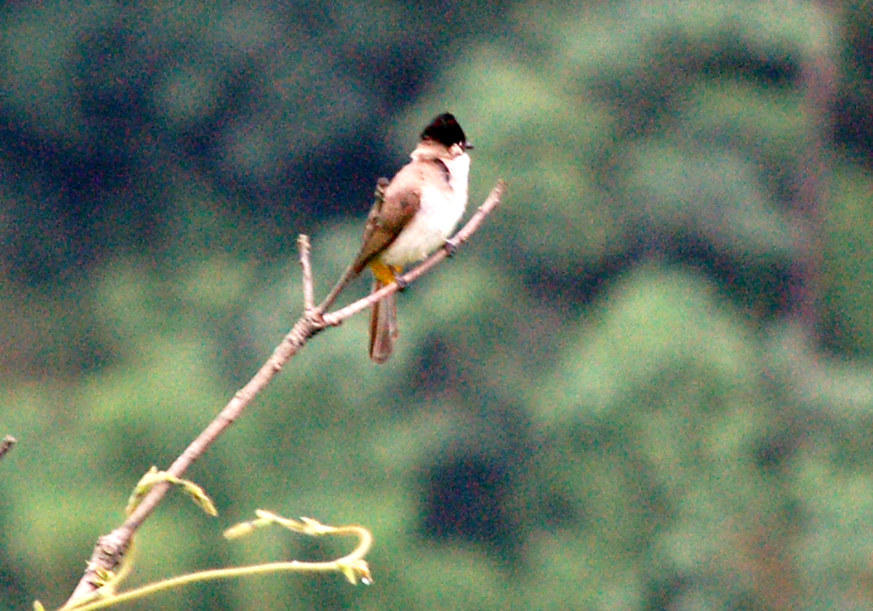 DSC_6808.jpg