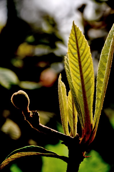 DSC_0067_С.jpg