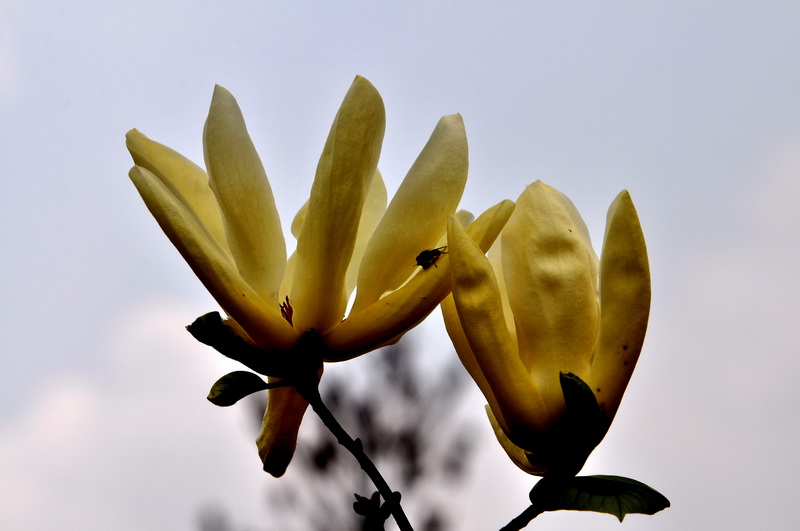 DSC_0143_С.jpg