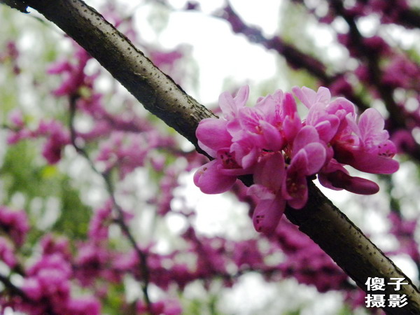 DSCN0940.jpg