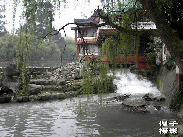 DSCN0934.jpg