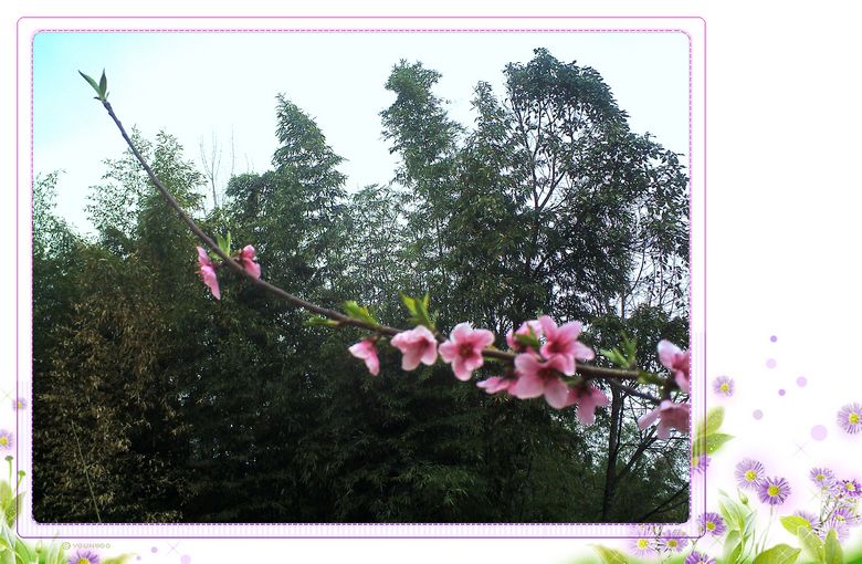 PICT0145.JPG