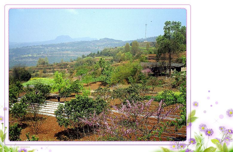 PICT0176.JPG