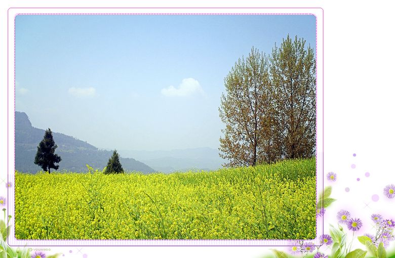 PICT0189.JPG