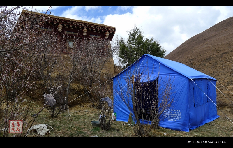 P1010641 1.jpg
