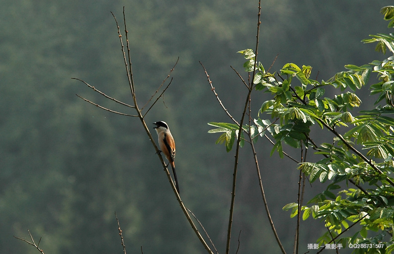 DSC_4863.jpg