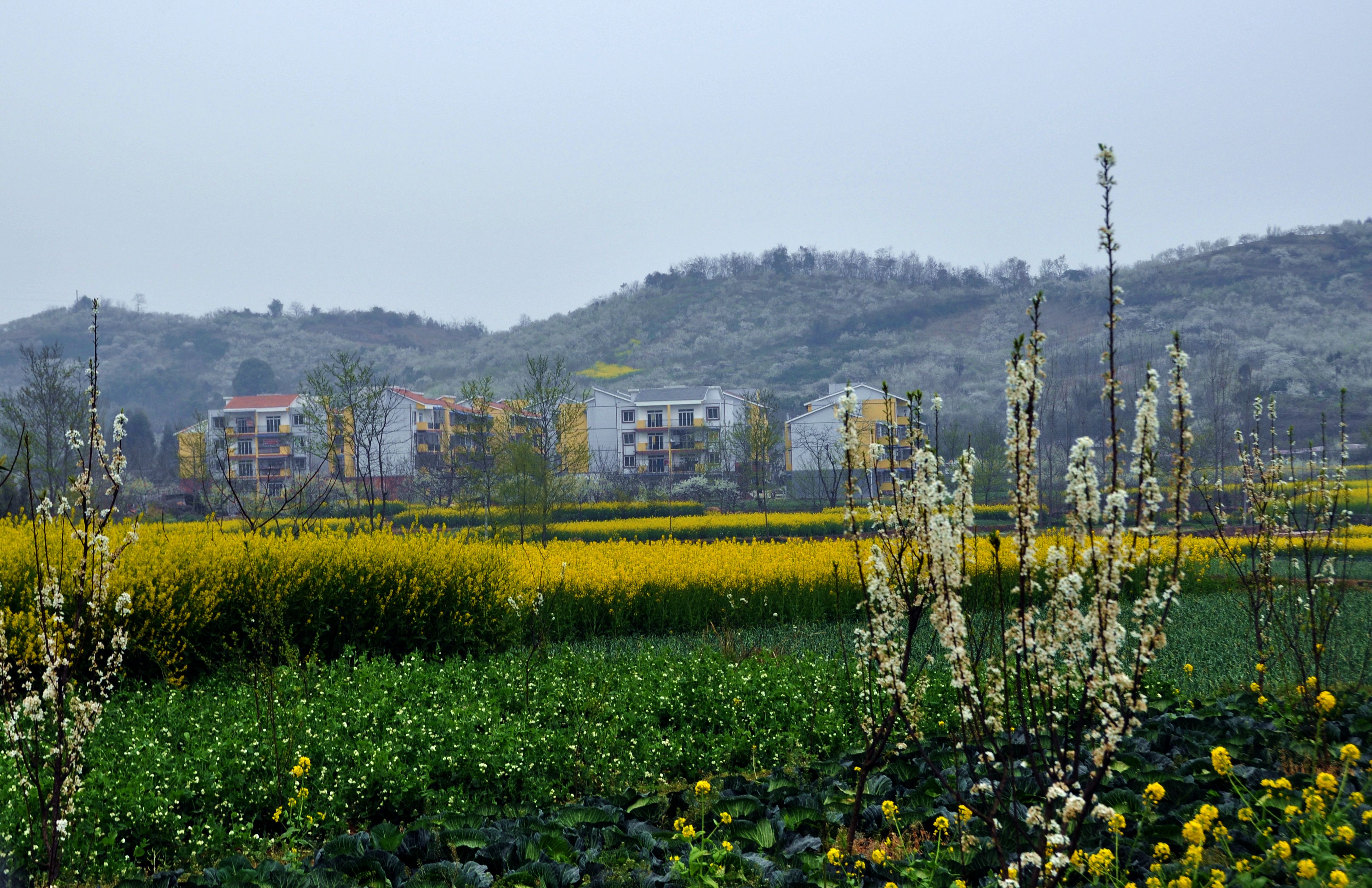 青白江花园沟风景区图片