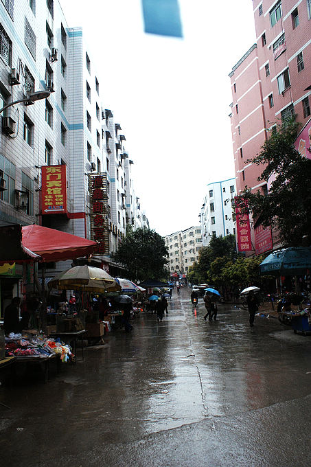 DSC03896.jpg
