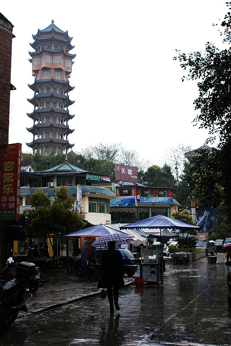 DSC03916.jpg