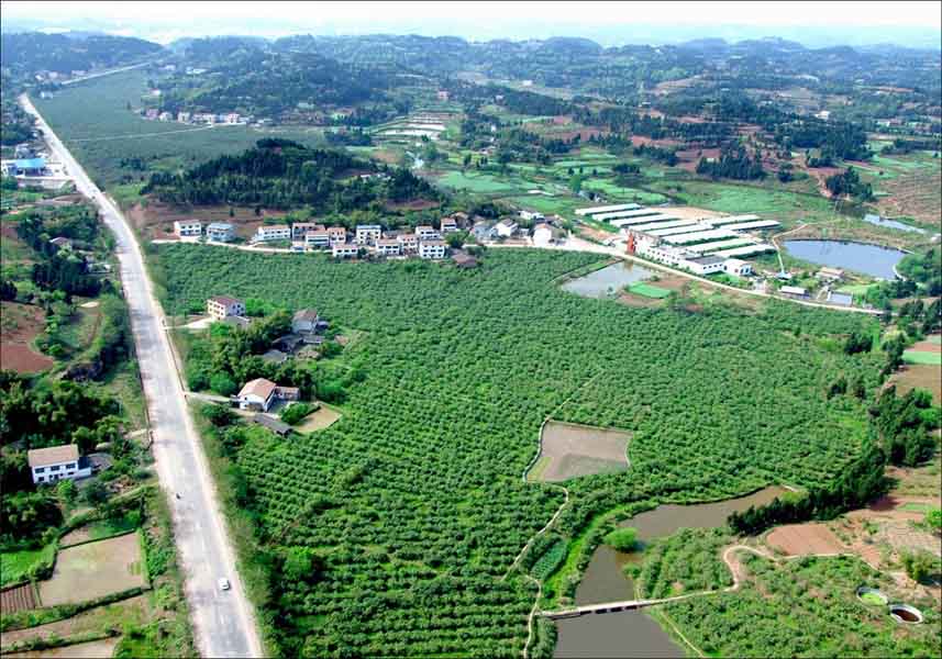 安岳柠海一角