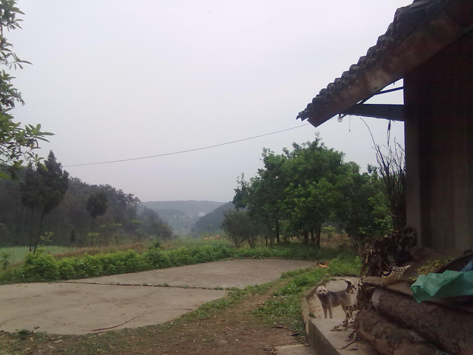 20110419267.jpg