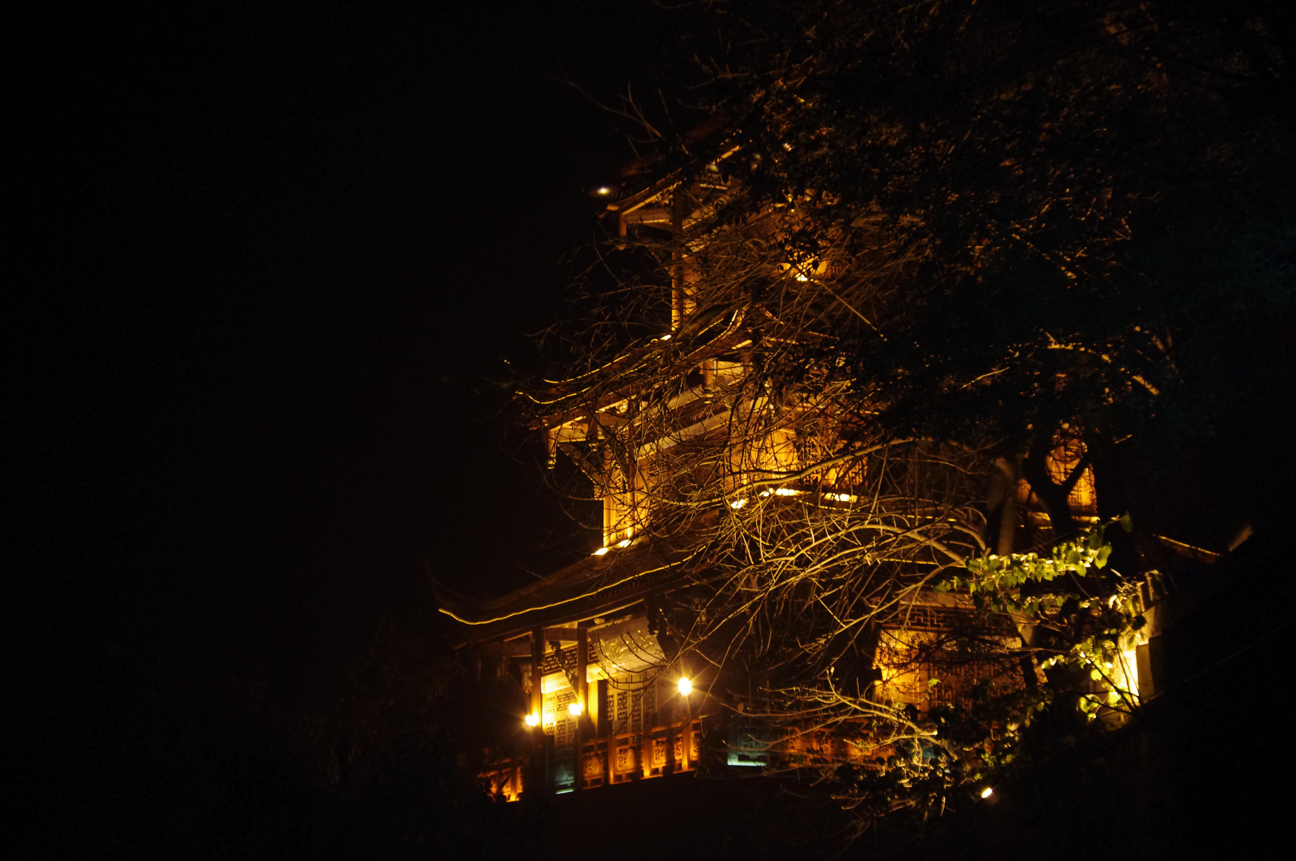 IMGP6373.jpg