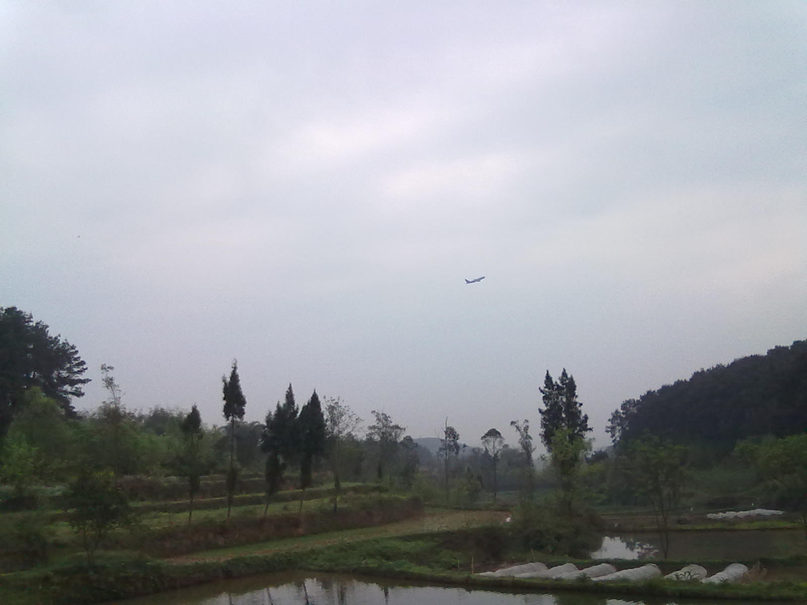 20110419208.jpg