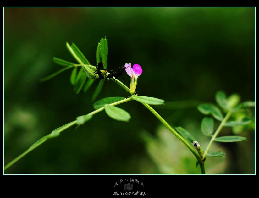 DSC0759001.jpg