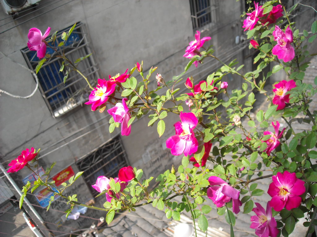 DSCN0001.jpg