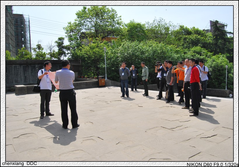 DSC_0212_conew1.jpg