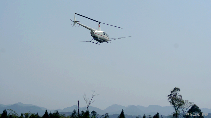 DSC07501.jpg
