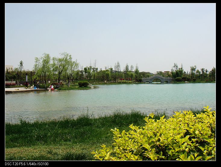nEO_IMG_DSC05616.jpg