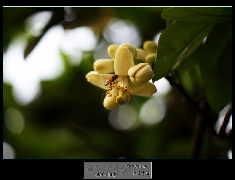 DSC08015.jpg