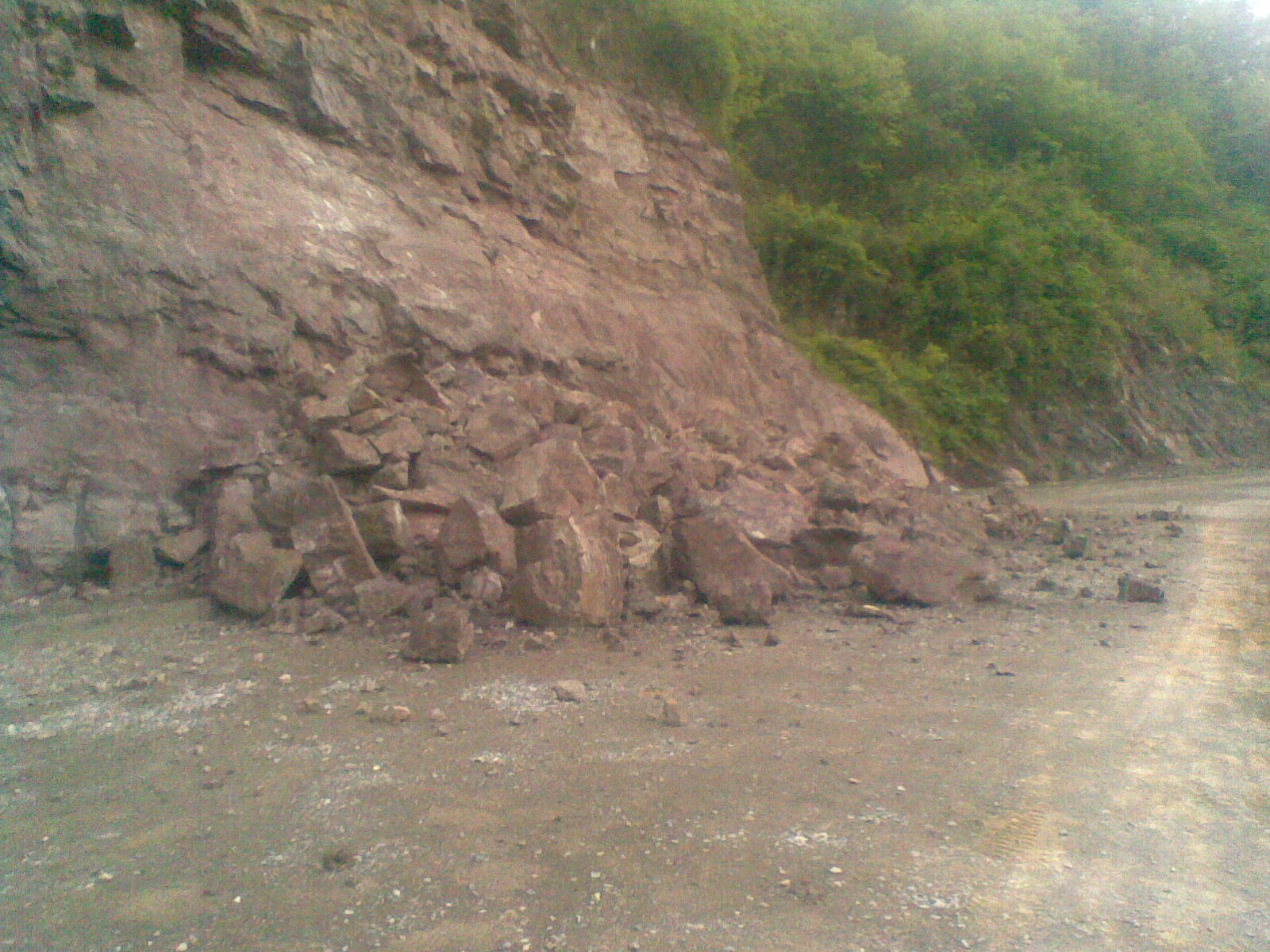 20110502_007.jpg