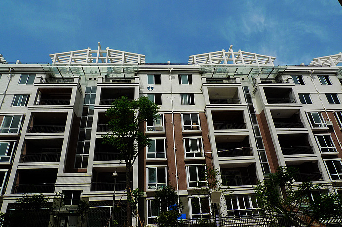 P1130814.jpg