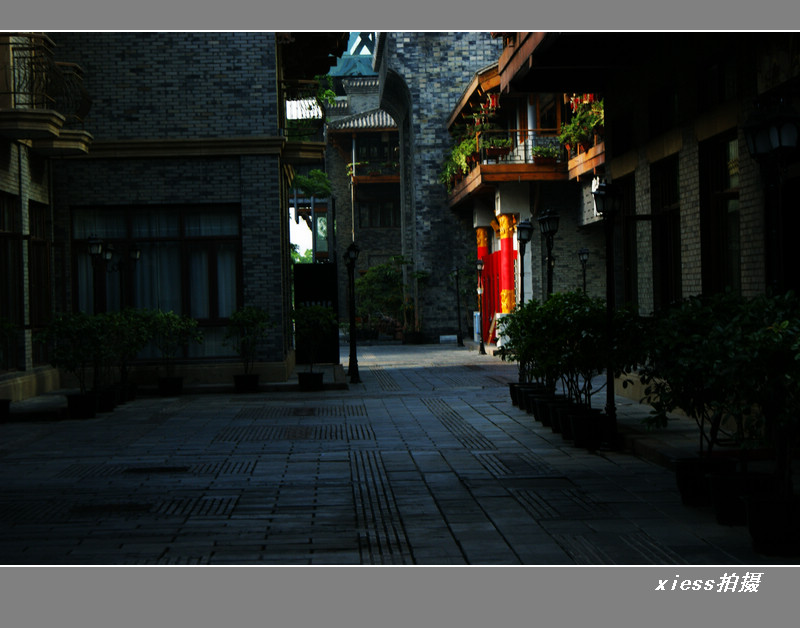 DSC00439b.jpg