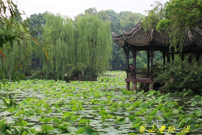 2011-5-10¶ 054.jpg