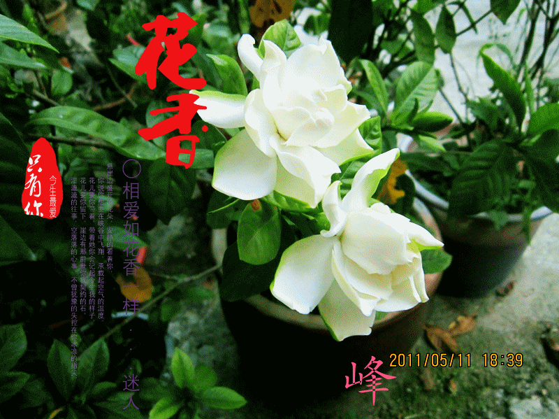 Ӱ.gif