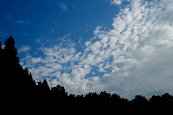 DSC_0913.JPG