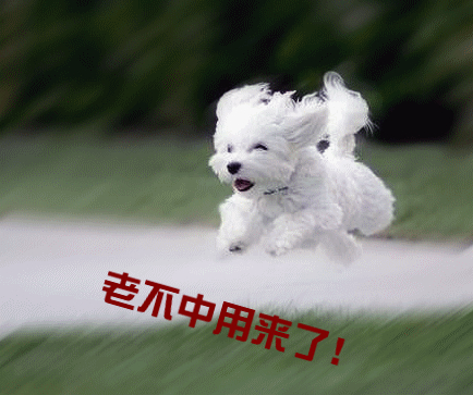 ż.gif