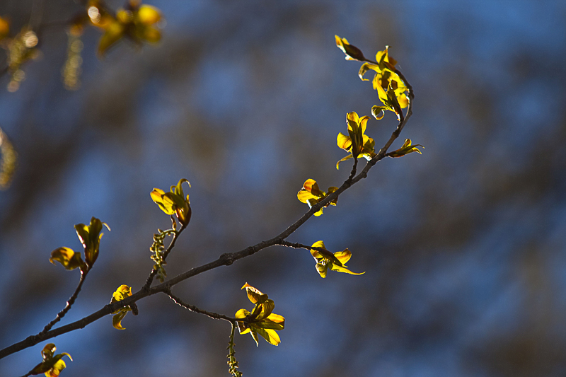IMG_001120110513.jpg