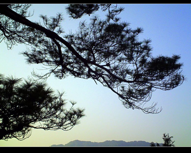 PICT0928.JPG