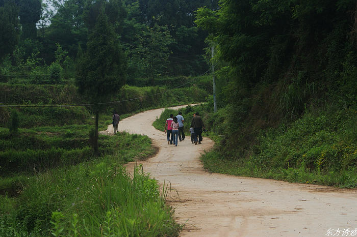 DSC09506.jpg