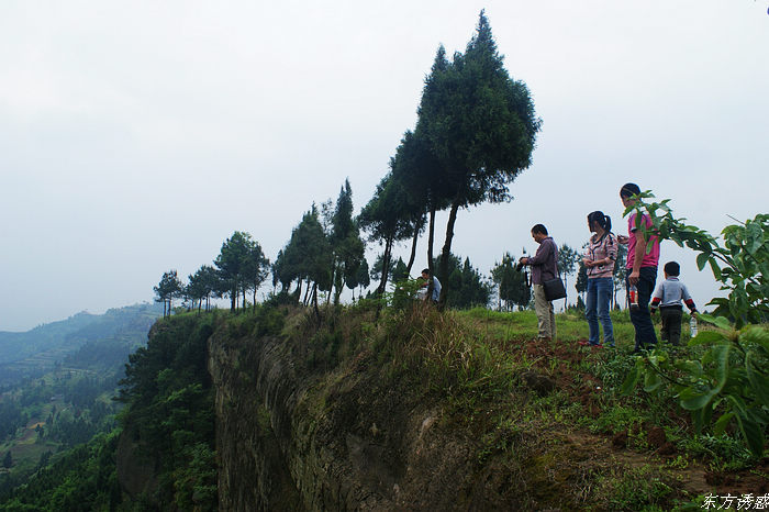 DSC09511.jpg