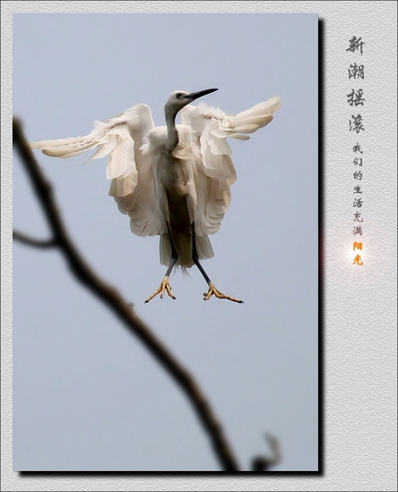 IMG_06501.21psd.jpg