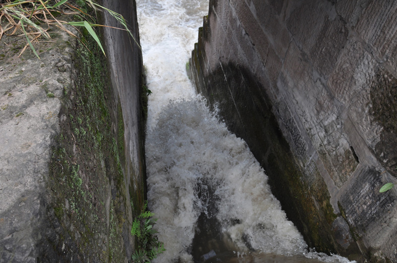 DSC_0293.jpg