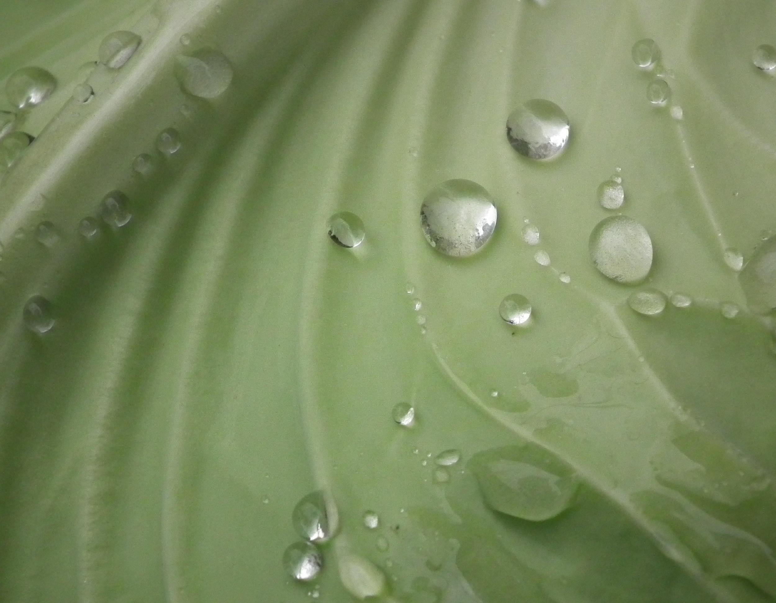 DSCF7190.JPG