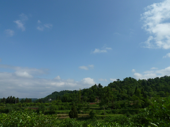 P1030254.JPG